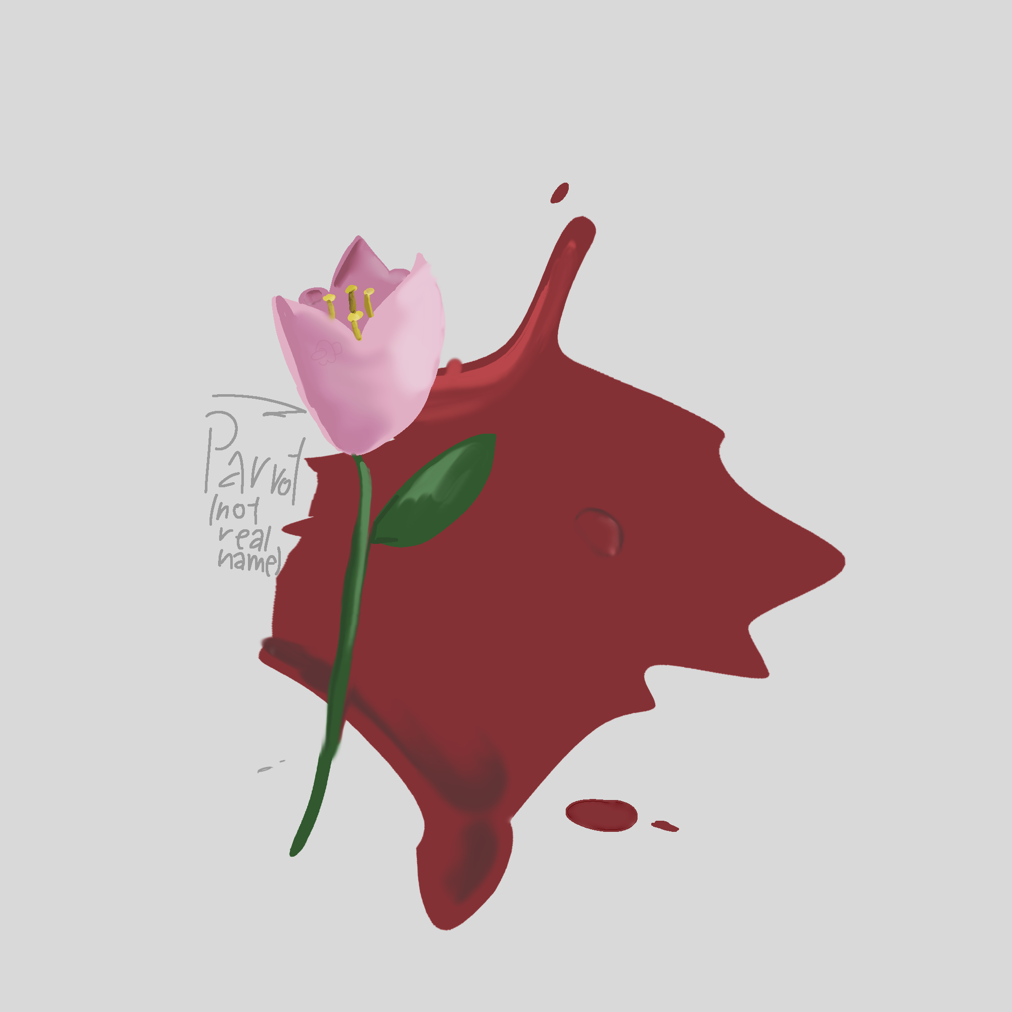 first attempt on realism - ibisPaint