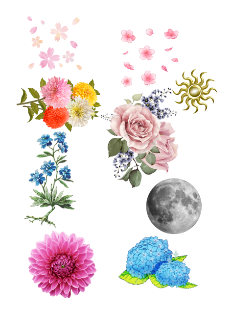 flowers and deco