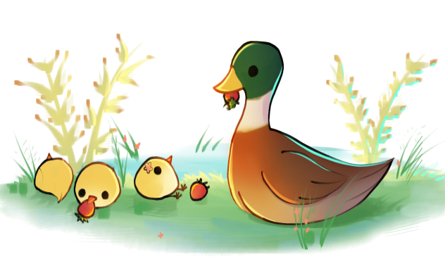 Cute duckies