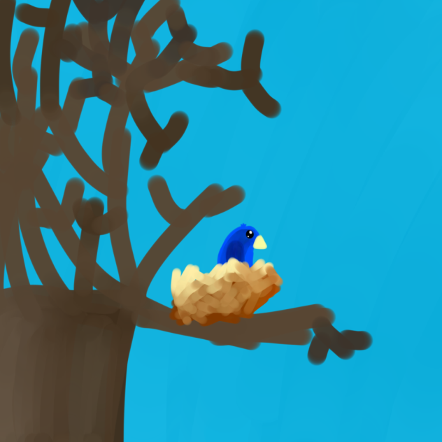 Bird