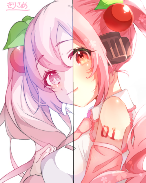 合作させていただきました！