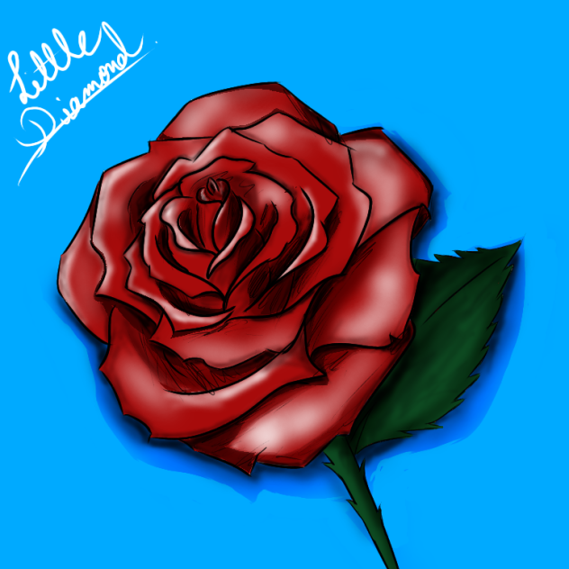 how to draw rose