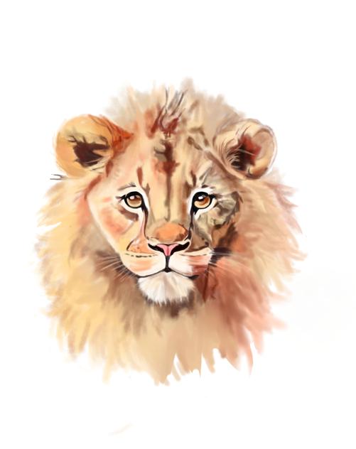 lion watercolor