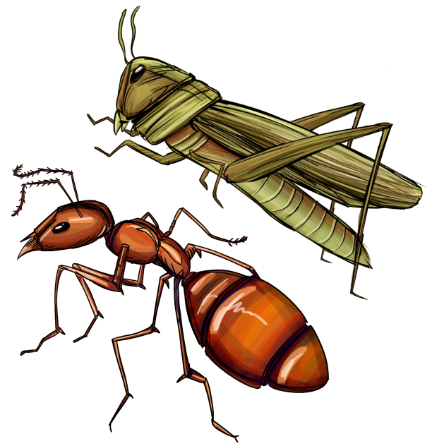 insect 2 - ibisPaint