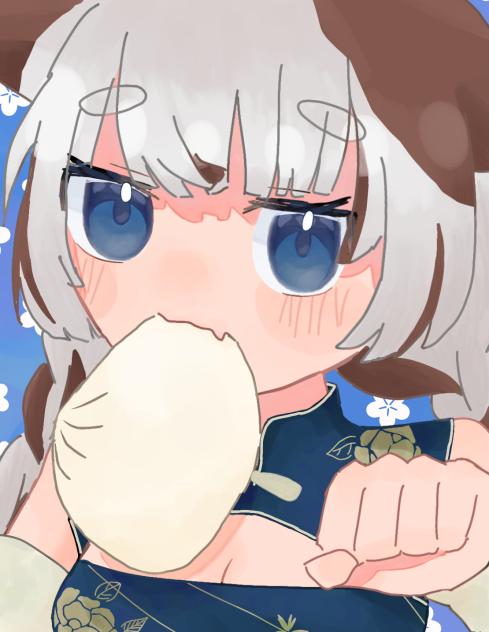 斑猫中華