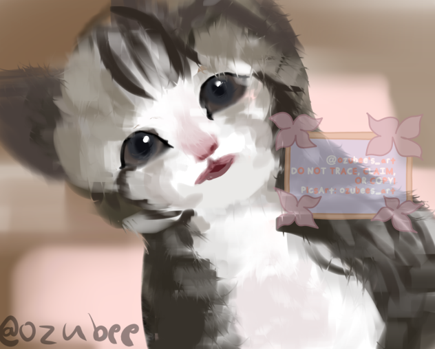 Lil’ Cat!