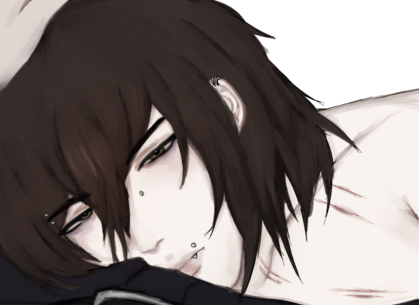 redraw - ibisPaint