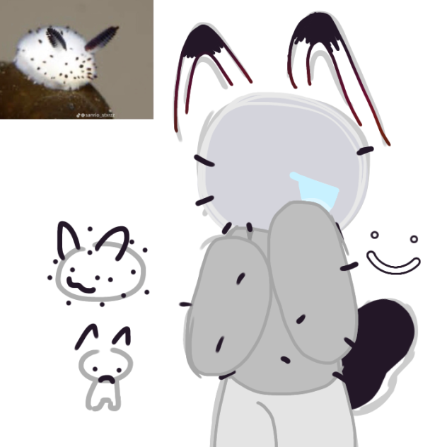 whatever animal this is