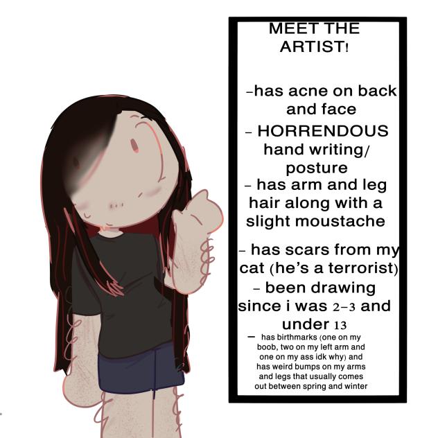 MEET THE ARTIST UPDATED