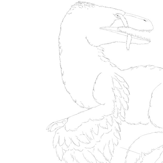 WIP (deinonychus art redraw)