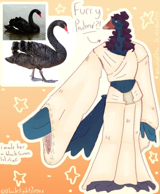 furry padme!!!