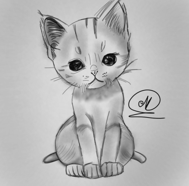 my lost cat Lily (credits to the artist)