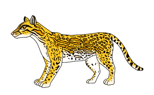 Ocelot