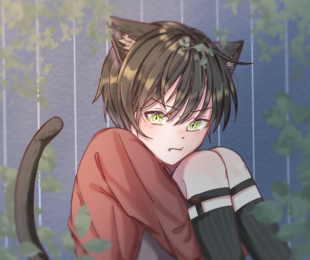 黒猫