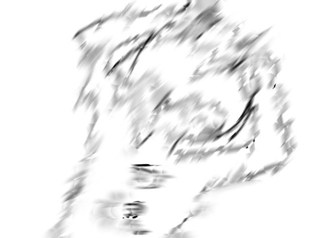 最後に見た白魂の姿