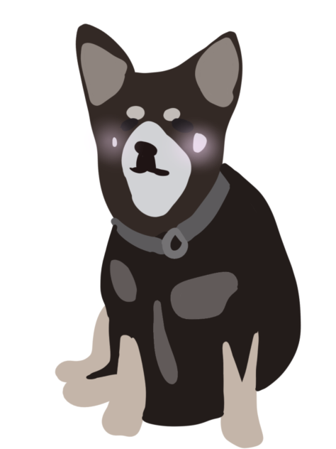 My aunts dog, Tink - ibisPaint