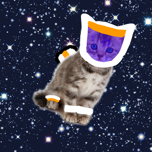 Cat in the space - ibisPaint