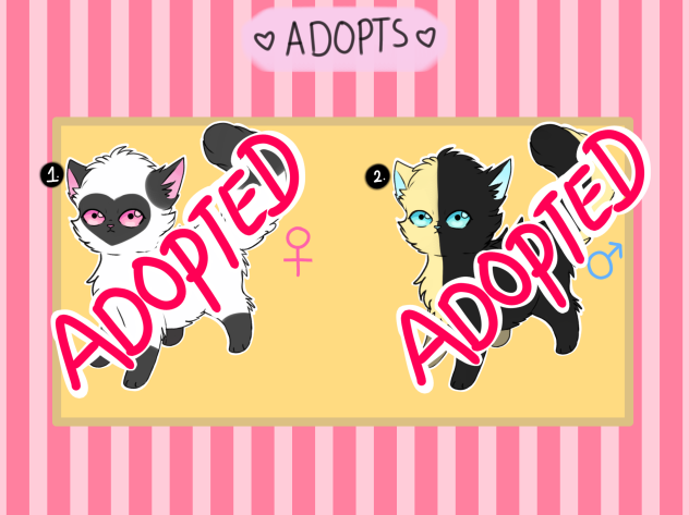 Cat Adopts- All ADOPTED
