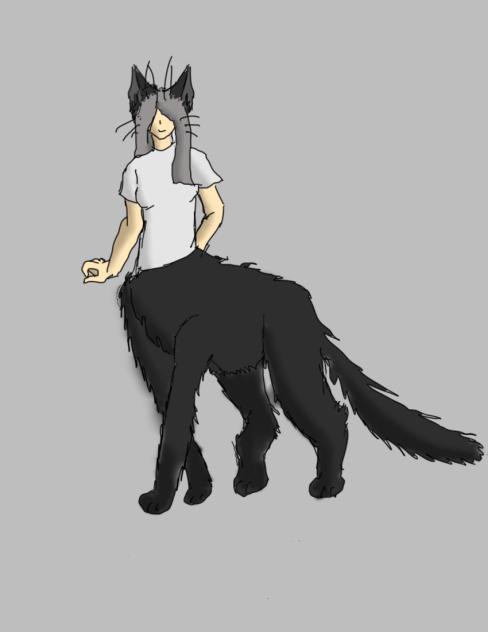 Centaur but a cat