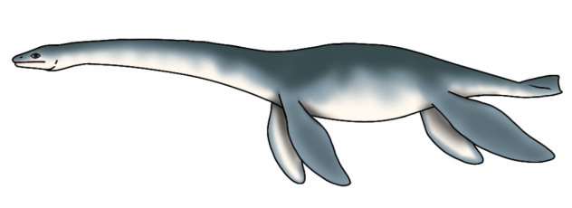 Plesiosaurus dolichodeirus render
