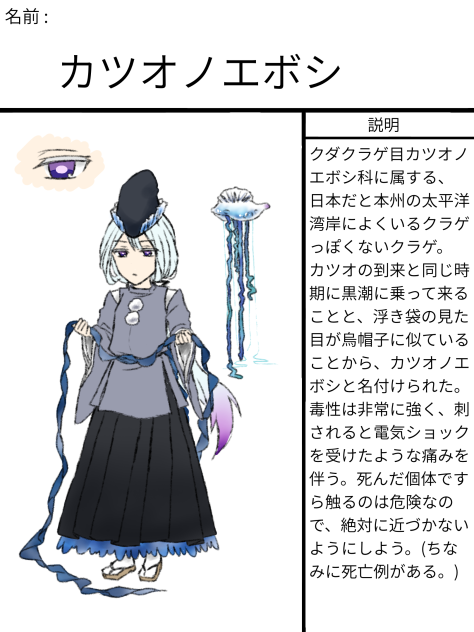 No.5 カツオノエボシ