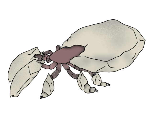 Coral Faultstriker3