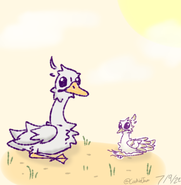 Birb & Duc