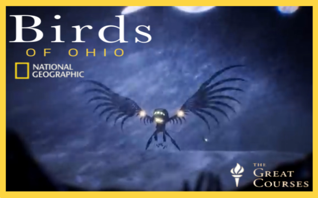 Birds of Ohio