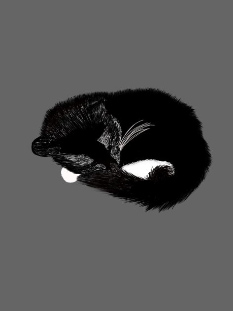 cat - ibisPaint