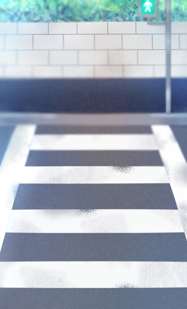 🖤横断歩道🖤