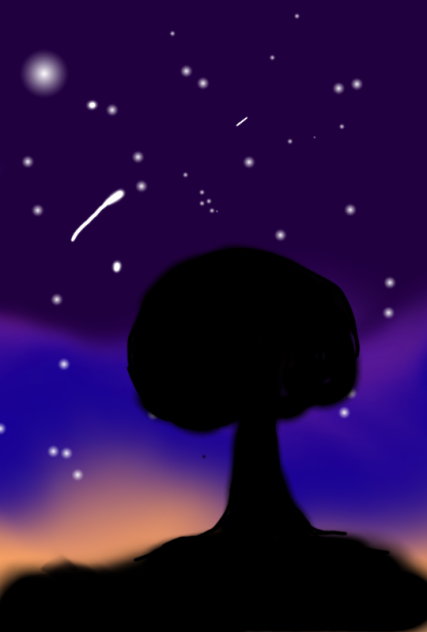 A beatiful night