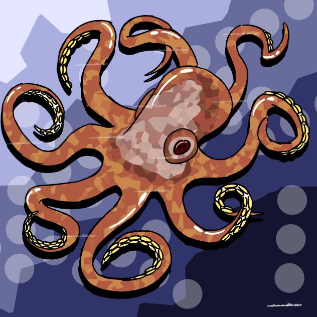 Red Diamond Octopus