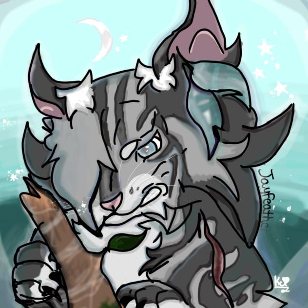 Jayfeather ⭐️