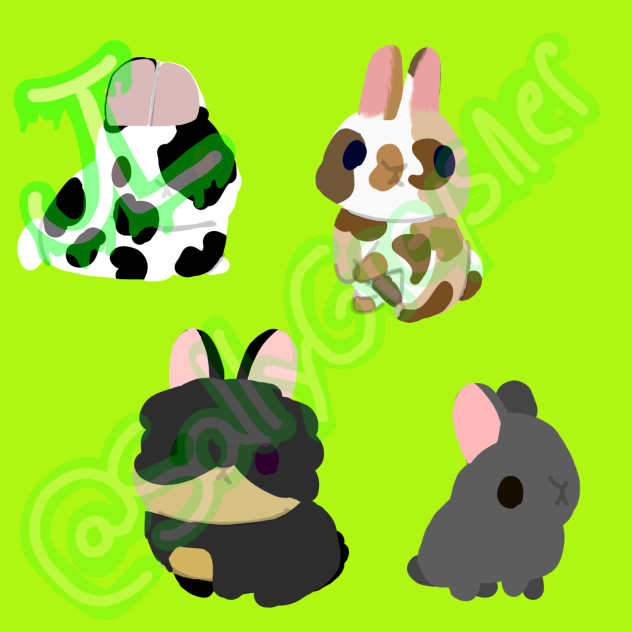 BUNNYS