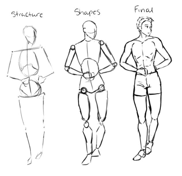 Studies with SamDoesArt