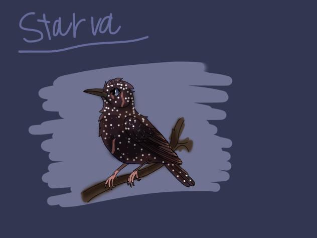 This is Starva. I plan writing a story.