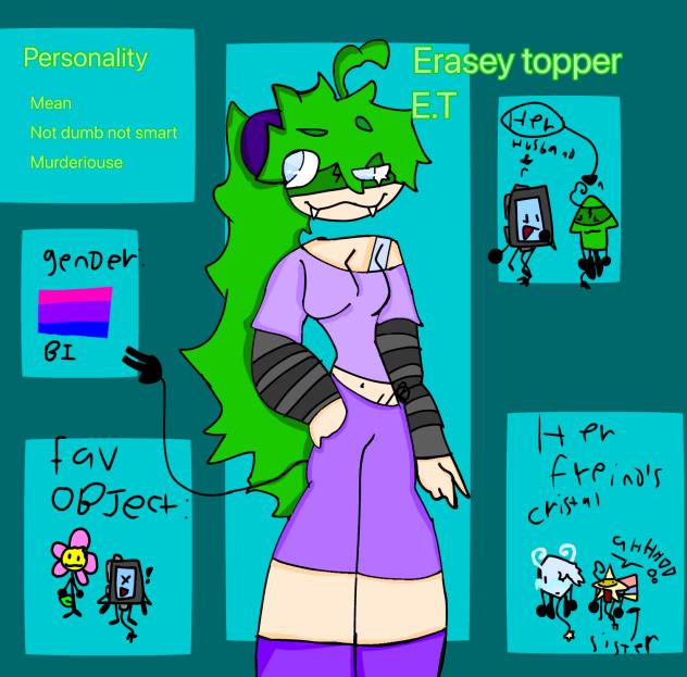 Erasey topper