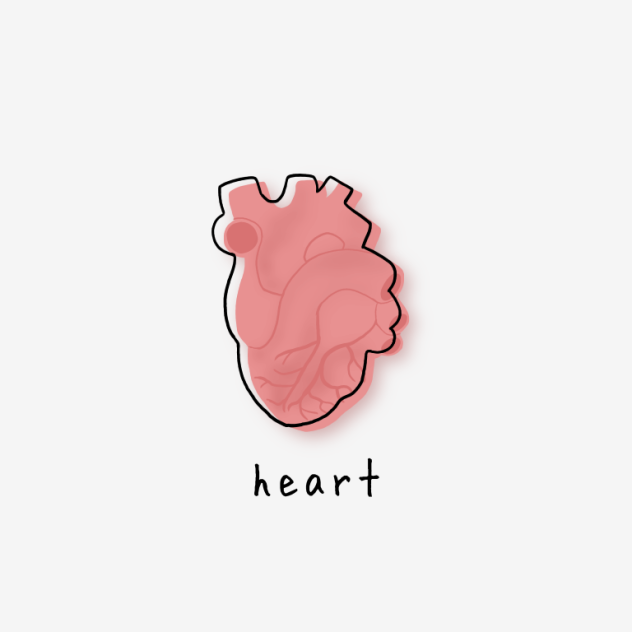 heart