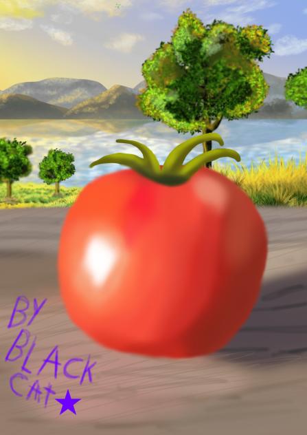 tomato