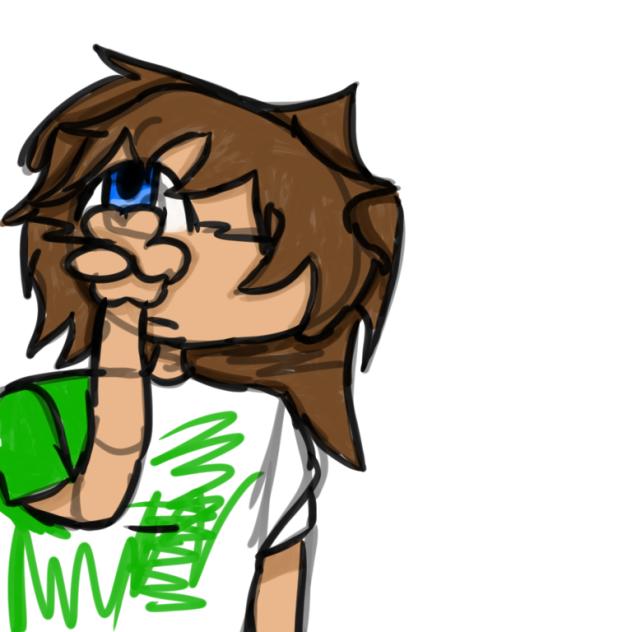 oc wip