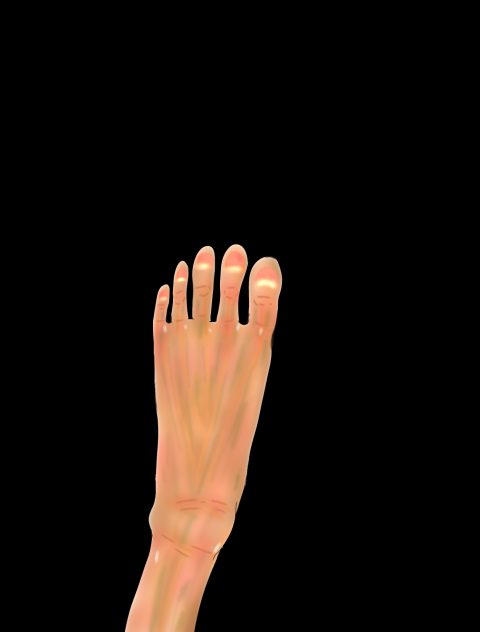 足を描いてみました
