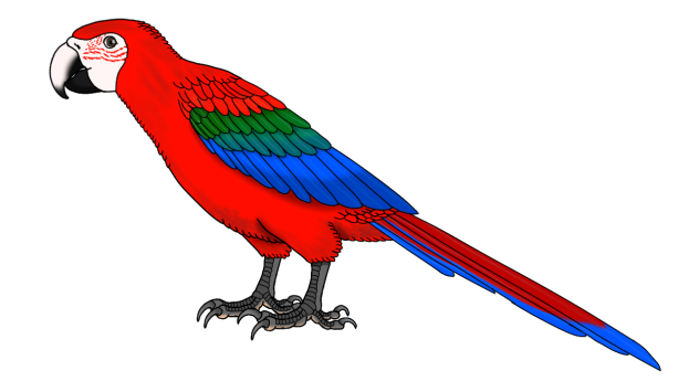 Green-winged Macaw2