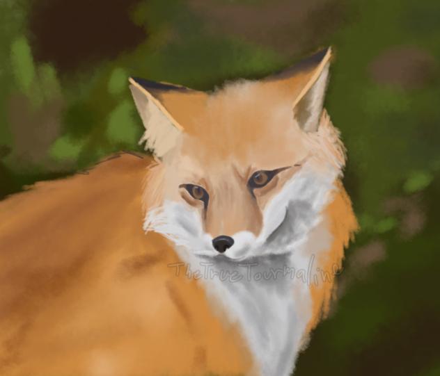 he was a hunter boy-boy