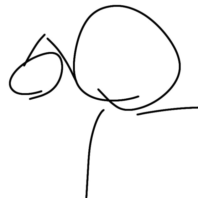animation test