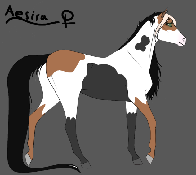 Aesira - Design
