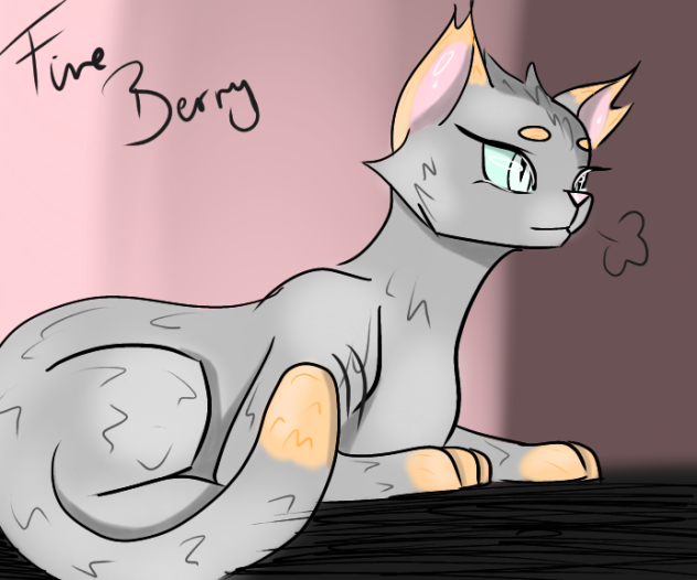 Cat oc 😸