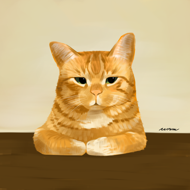 식빵 고양이 그리기