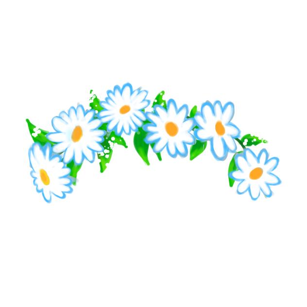 Flower Crown (daisy)