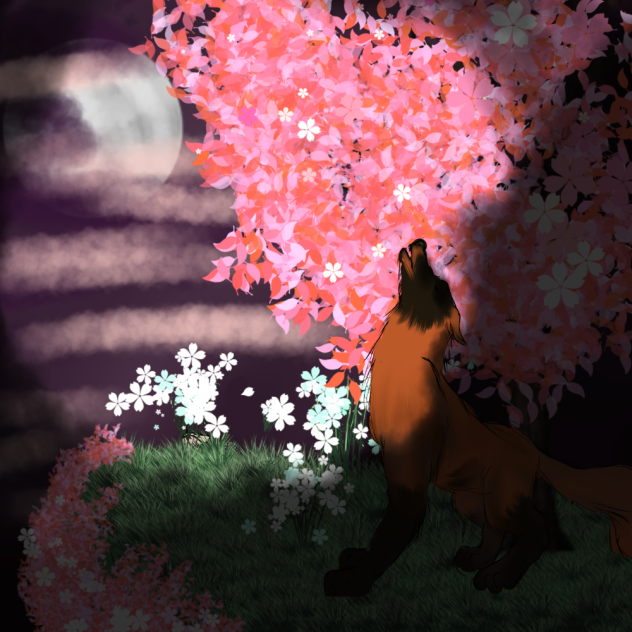 A sakura night