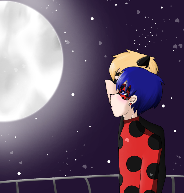 Ladynoir fanart (gay)